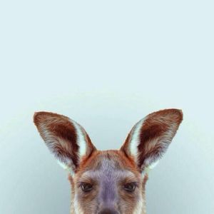 Meet your Posher, Jihoon